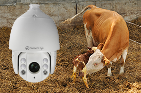 Calving Cameras – Case Study as featured in Agritiser