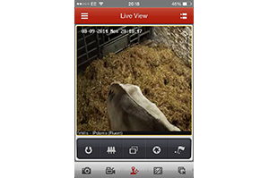 Calving Camera App – Set Up and User Guide